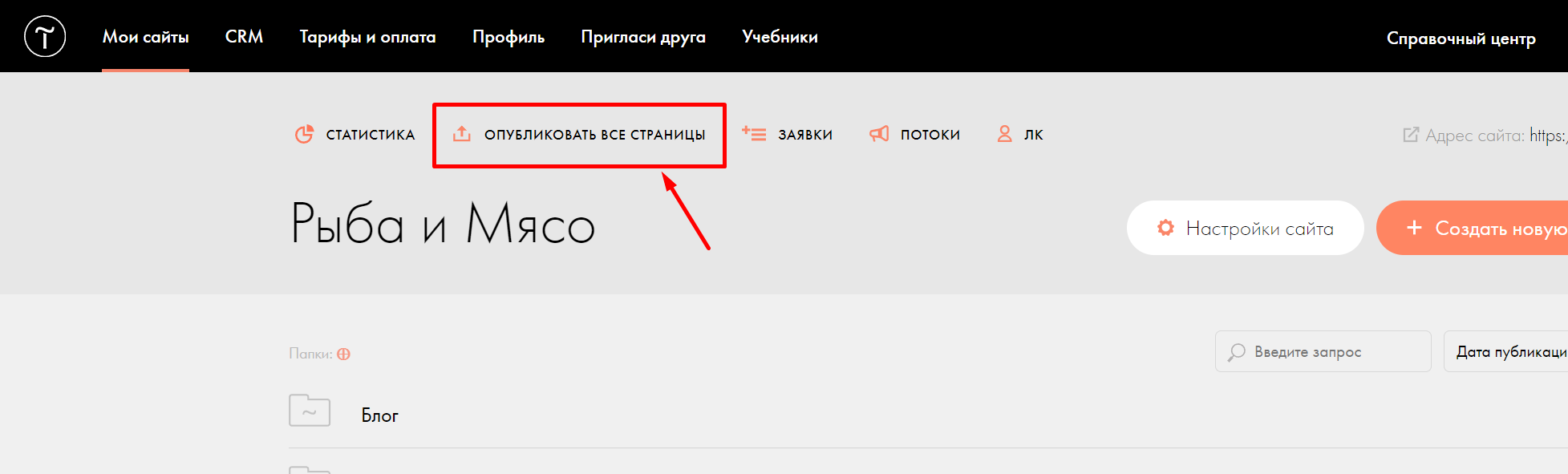 Публикация страниц в Tilda